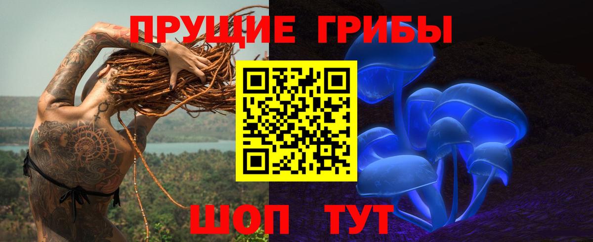 Галлюциногенные грибы GOLDEN TEACHER Корсаков