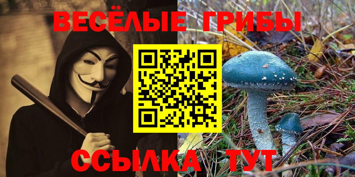 Галлюциногенные грибы Magic Shrooms  Вход с VPN  Корсаков 